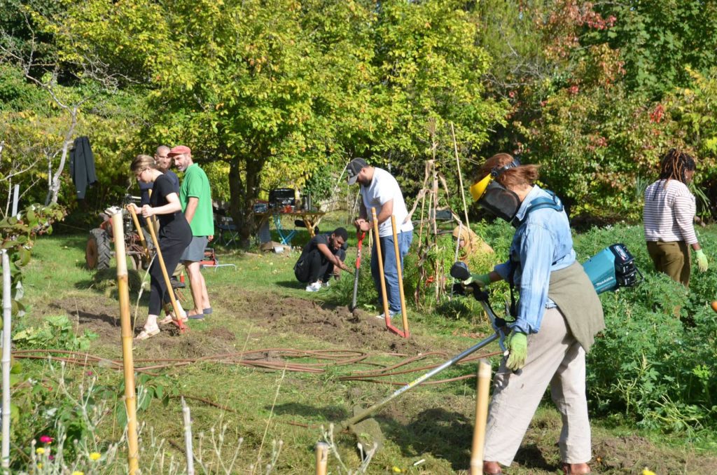 Atelier jardin partagé